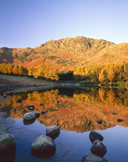 Blea Tarn Prints: Blea Tarn Reflections, Lake District National Park, Cumbria, England