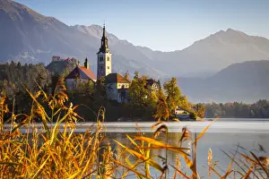 Bled Island (Blejski otok) with the Church of the Assumption (Cerkev Marijinega