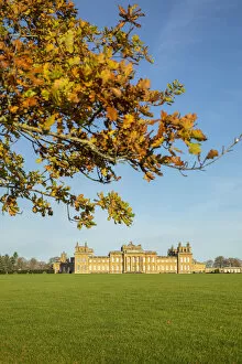 Images Dated 15th March 2021: Blenheim Palace, Blenheim Park, Woodstock, Oxfordshire, England