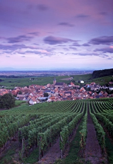 French Wine Regions Gallery: Blienschwiller