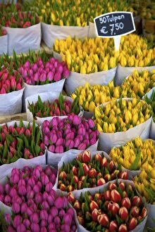 Flower Market Gallery: Bloemenmarkt Flower Market, Amsterdam, Netherlands
