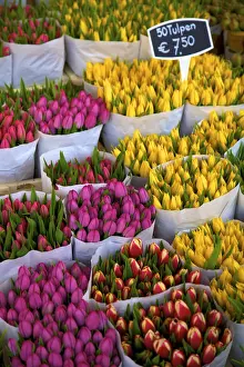 Retail Prints: Bloemenmarkt Flower Market, Amsterdam, Netherlands
