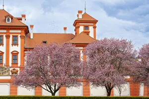 Images Dated 25th February 2022: Blooming trees in garden of Troja Chateau in spring, Prague, Bohemia, Czech Republic