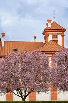 Images Dated 25th February 2022: Blooming trees in garden of Troja Chateau in spring, Prague, Bohemia, Czech Republic