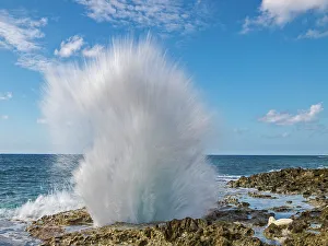 Motion Prints: Blowholes, Grand Cayman, Cayman Islands, British West Indies