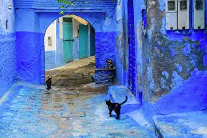 Alleyways Prints: Blue alleyway, Chefchaouen, Morocco
