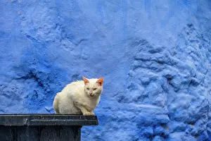 Alleyways Prints: Blue alleyway, Chefchaouen, Morocco