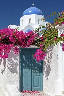 Aegean Prints: Blue domed church and bougainvillea, Messaria, Santorini, Cyclades Islands, Greece, Europe