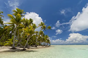 South Pacific Gallery: Blue Lagoon, Rangiroa, Tuamotu Archipelago, French Polynesia