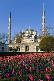 Images Dated 12th April 2007: The Blue Mosque, Istanbul