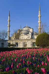 Images Dated 12th April 2007: The Blue Mosque, Istanbul