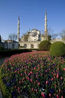 Images Dated 12th April 2007: The Blue Mosque, Istanbul
