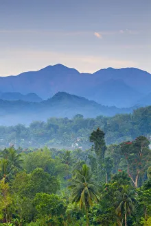 Blue Mountains, Portland Parish, Jamaica, Caribbean