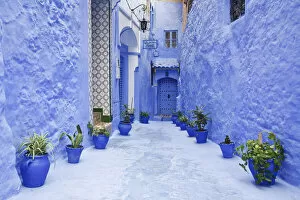 Chefchaouen Gallery: Blue painted alley lined with flower pots leading to doorway, Chefchaouen, Morocco