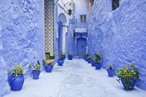 Chefchaouen Prints: Blue painted alley lined with flower pots leading to doorway, Chefchaouen, Morocco