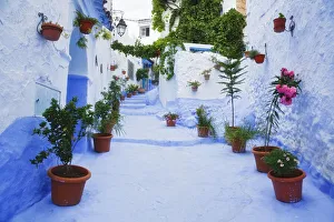 Steps Prints: Blue painted steps with flower pots, Chefchaouen, Morocco