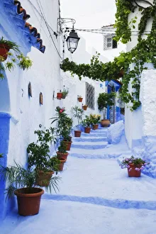 Blue painted steps with flower pots, Chefchaouen, Morocco