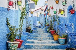 Morocco Collection: Blue staircase and colorful potted plant, Chefchaouen, Morocco