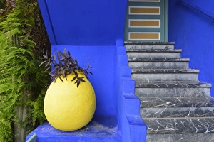 The blue and yellow contrast found in the Majorelle garden. Marrakech, Morocco
