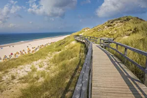 Boardwalk in the dunes near Wenningstedt, Sylt, Schleswig-Holstein, Germany