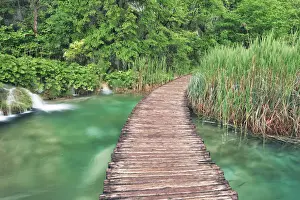 Reed Prints: Boardwalk over karst lake in Plitvice National Park - Croatia, Lika-Senj