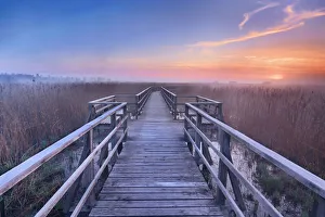 Upper Swabia Prints: Boardwalk through moor - Germany, Baden-Wurttemberg, Tubingen, Biberach