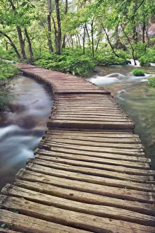 Base Prints: Boardwalk in Plitvice National Park - Croatia, Lika-Senj