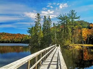 Provincial Park Prints: Boardwalk at Rustle Lake on the Trapper's Trail in Lake Superior Provincial Park