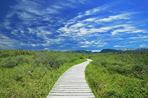 Paths Prints: Boardwalk at Western Brook Pond Gros Morne National Park, Newfoundland & Labrador, Canada