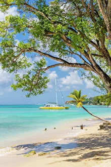 Barbados Prints: A boat at Alleynes Bay, Barbados, Caribbean