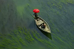 Images Dated 19th January 2021: A boat man crossing river with full of algae, Sirajganj, Bangladesh