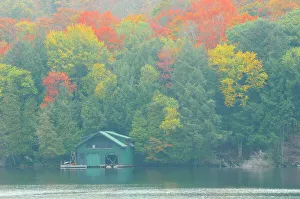 Cottage Country Prints: Boathouse in fog in autumn Muskoka, Ontario, Canada