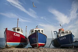Images Dated 12th August 2021: Boats on the beach. Beer, Devon. England. United Kingdom