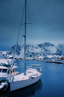 Henningsvaer Prints: Boats in the Henningsvaer little harbor in Lofoten islands, Lofoten islands, Norway