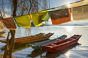 Images Dated 14th February 2017: Boats on Lugu Lake, Lige village, Yunnan, China