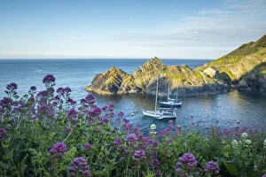 Images Dated 1st September 2021: Boats at Polperro Harbour, Cornwall, England, UK