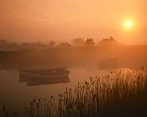 Reedbed Prints: Boats on River Alde at Sunrise, Snape, Suffolk, England
