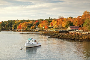 Rockport Prints: Boats at Rockport Harbour, Camden, Maine, USA
