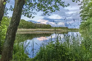 Prerow Prints: Bodden landscape near Prerow, Mecklenburg-Western Pomerania, Northern Germany, Germany