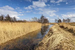 Watercourse Prints: Bodden landscape near Wieck am Darss, Mecklenburg-Western Pomerania, Northern Germany