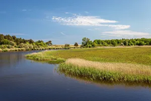 Bodden landscape between Prerow and Zingst, Mecklenburg-Western Pomerania, Baltic Sea, North Germany, Germany