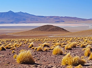 Bolivia, Potosi Departmant, Sur Lipez Province, Eduardo Avaroa Andean Fauna National Reserve