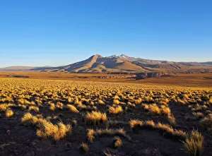 Bolivia, Potosi Departmant, Sur Lipez Province, Eduardo Avaroa Andean Fauna National