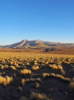 Bolivia, Potosi Departmant, Sur Lipez Province, Eduardo Avaroa Andean Fauna National