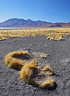 Bolivia, Potosi Departmant, Sur Lipez Province, Eduardo Avaroa Andean Fauna National