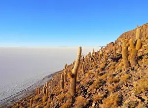 Bolivia, Potosi Department, Daniel Campos Province, Salar de Uyuni, View of the Incahuasi