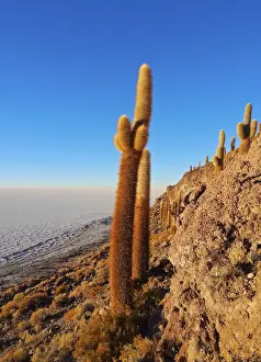 Bolivia, Potosi Department, Daniel Campos Province, Salar de Uyuni, View of the Incahuasi