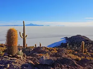 Bolivia, Potosi Department, Daniel Campos Province, Salar de Uyuni, View of the Incahuasi