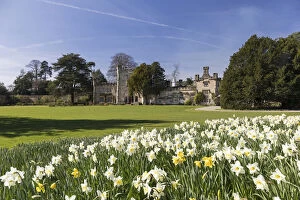 Bolton Hall with daffodils, Bolton Abbey, Yorkshire Dales National Park, North Yorkshire