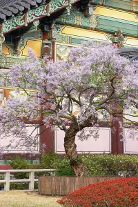 Religious Architecture Prints: Bongeunsa temple, Gangnam, Seoul, South Korea